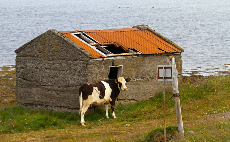 Klik for fuld størrelse