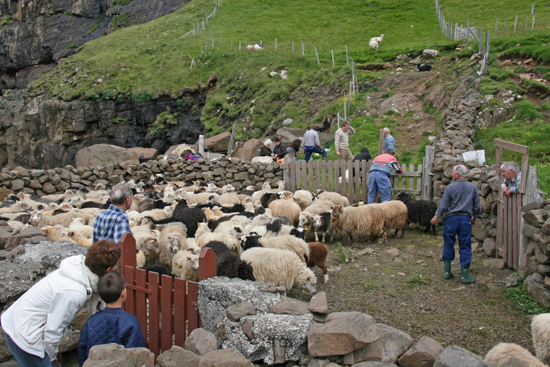 Klik for fuld størrelse