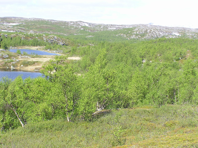 Klik for fuld størrelse